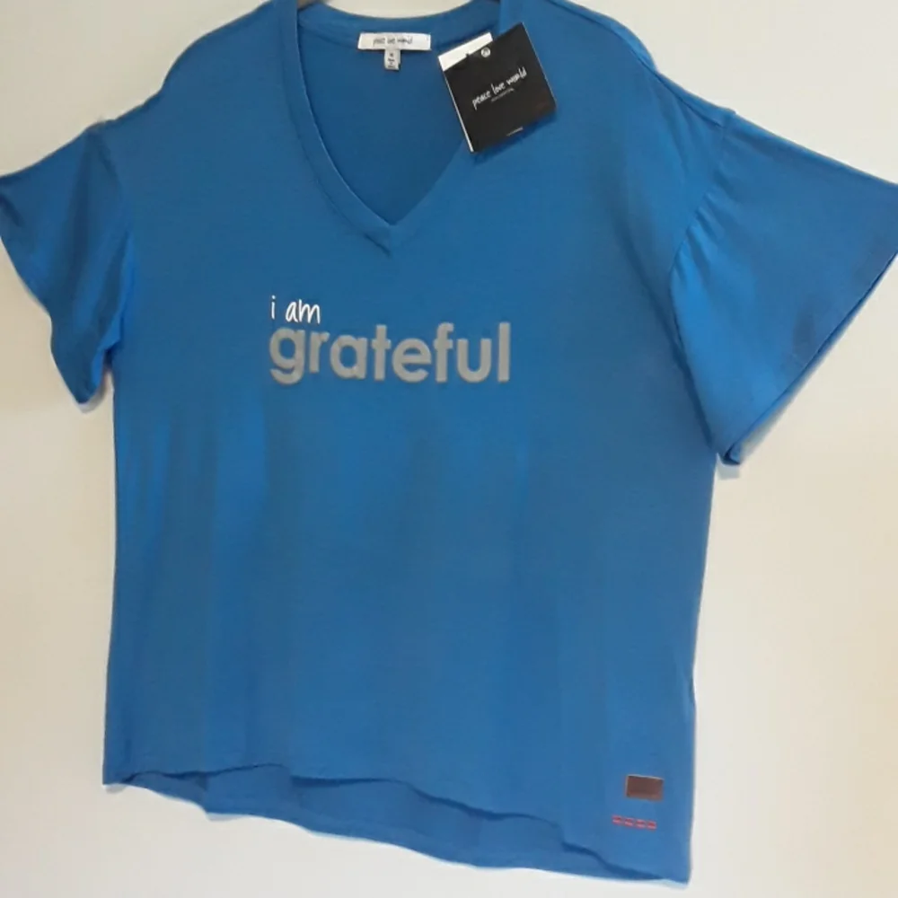 NWT Peace Love World Boxy V-Neck T-Shirt Top, Blue, Size XS - Picture 2 of 7